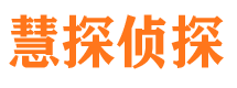 麟游侦探公司